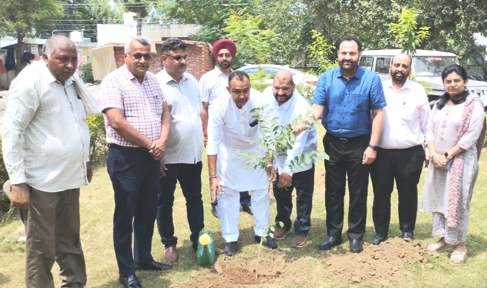 Planting more saplings for environment protection is the big need of today - Additional Deputy Commissioner